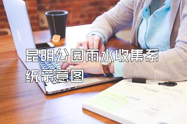 昆明公园雨水收集系统示意图