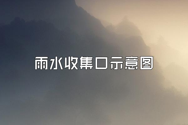 雨水收集口示意图