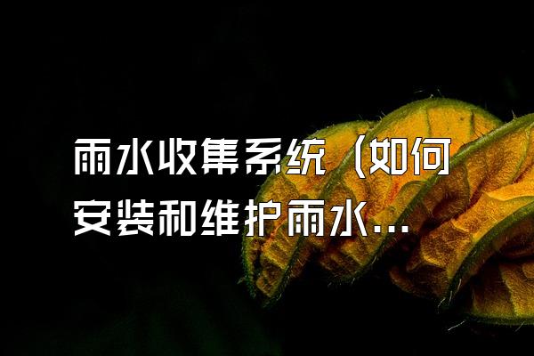 雨水收集系统 (如何安装和维护雨水收集系统)