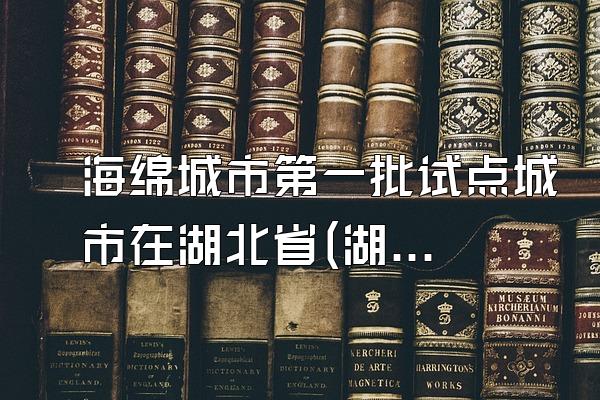 海绵城市第一批试点城市在湖北省(湖北省中进行海绵城市试点建设的城市名单与进展)