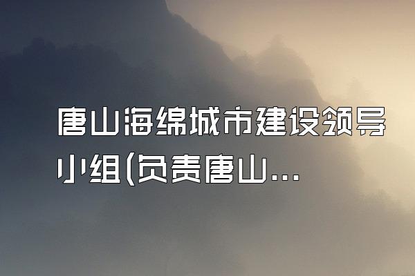 唐山海绵城市建设领导小组(负责唐山海绵城市建设的领导小组的成员与职责)