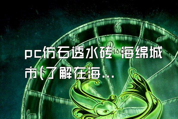 pc仿石透水砖 海绵城市(了解在海绵城市中使用的pc仿石透水砖产品)