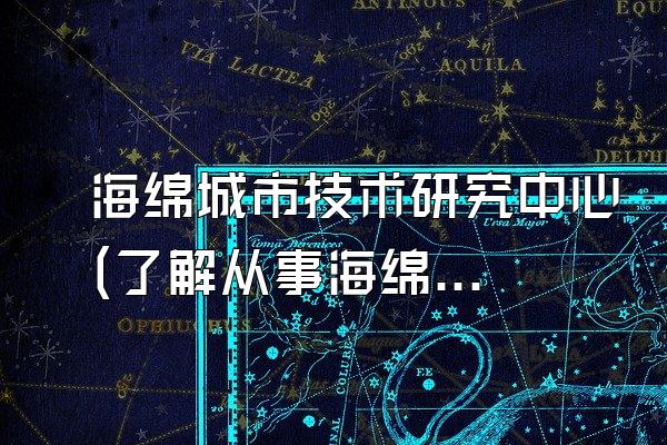 海绵城市技术研究中心(了解从事海绵城市技术研究的机构和中心)