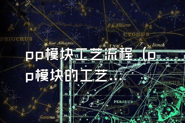 pp模块工艺流程 (pp模块的工艺流程)