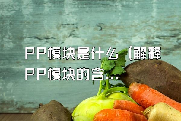 PP模块是什么 (解释PP模块的含义)