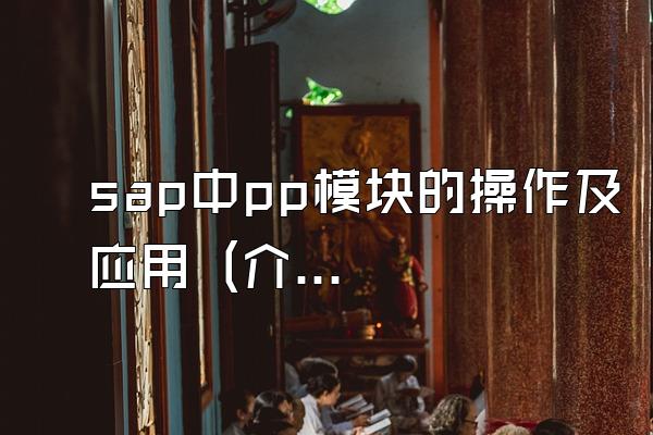 sap中pp模块的操作及应用 (介绍sap中pp模块的操作和应用)