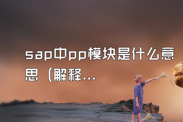 sap中pp模块是什么意思 (解释sap系统中pp模块的含义)