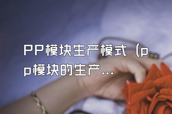 PP模块生产模式 (pp模块的生产方式)