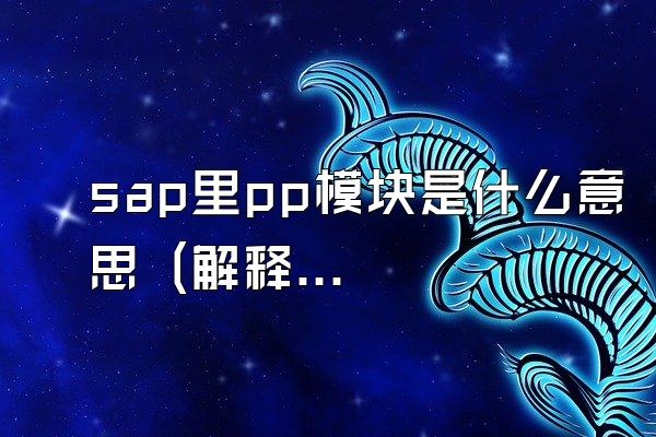 sap里pp模块是什么意思 (解释sap系统中的pp模块含义)